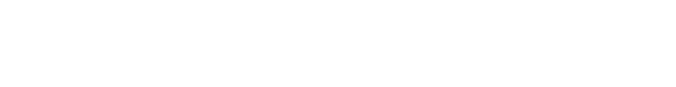 Bridge Capital Partners